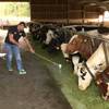 How Alpine wrestler Stefan Burkhalter recovers after sport 